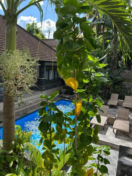 Balimas Guest House, Rezervasyon Misafirhane Mas Bali Adası