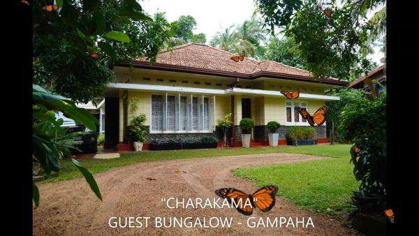 CHARAKAMA Guest Bungalow - GAMPAHA, Rezervasyon Misafirhane Minuwangoda Gampaha District