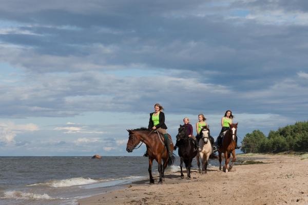 Arma Riding Farm And Holiday Home, Rezervasyon Tatil Evi Rutja 