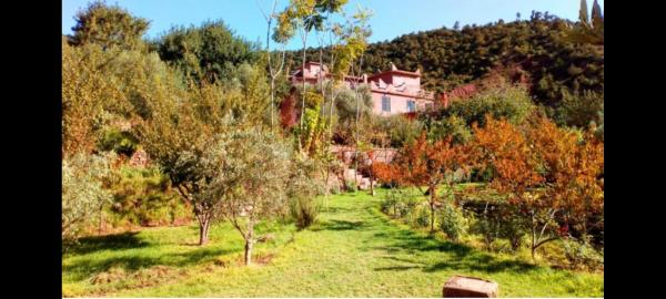 Ourika Timalizène le jardin des délices, Rezervasyon Misafirhane Tamzerdirt Havuzlu Oteller, Yüzme Havuzu