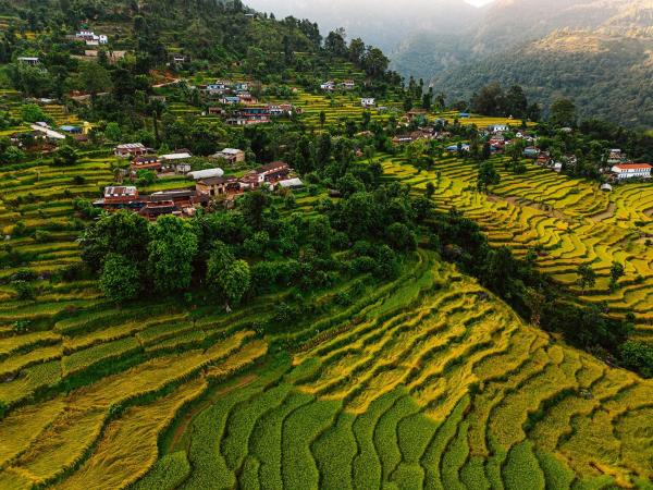 Barang Village Community Homestay, Rezervasyon Aile Yanı Konaklama Pokhara 