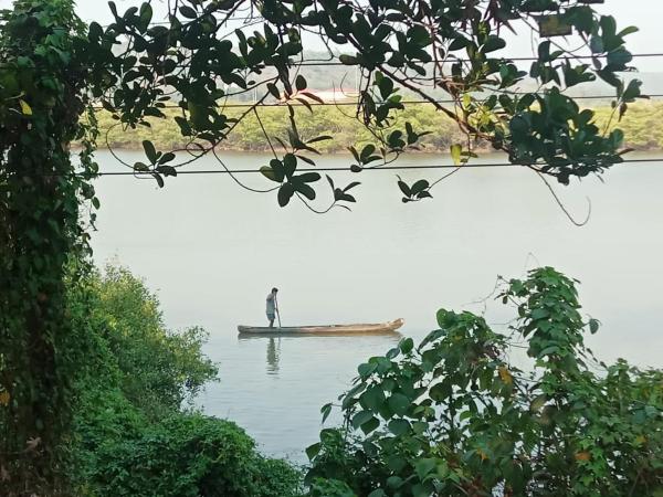 Casa de Julio, Rezervasyon Kır Evi Goa Havuzlu Oteller, Yüzme Havuzu