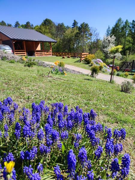 Roztocze, Domek Na Leśnym Wzgórzu nr2,Krasnobród,Zamość, Zwierzyniec, jacuzzi, Rezervasyon Tatil Evi Podkarpackie Kır Evleri / Kır Evleri, Küçük Ev