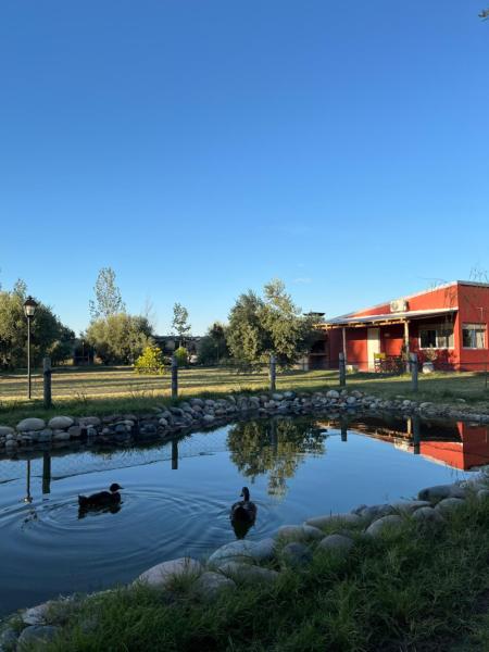 Finca La Calma, Rezervasyon Tatil Evi Mendoza Havuzlu Oteller, Yüzme Havuzu