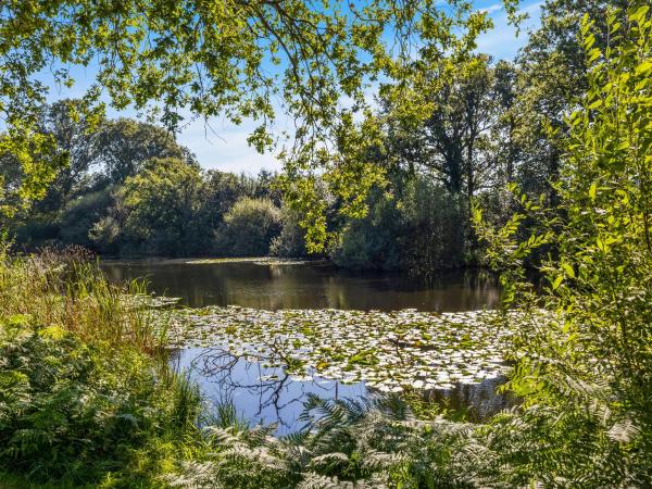The Lodge At The Lake House, Rezervasyon Tatil Evi Ifold West Sussex