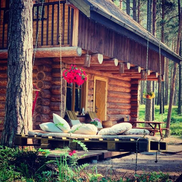 Piparmētras, Rezervasyon Tatil Evi Mersrags Kurzeme