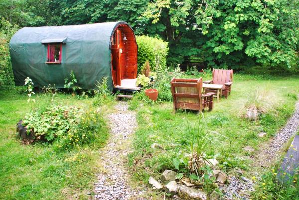 The Wonderly Wagon, Rezervasyon Kamp Alanı Fintown 