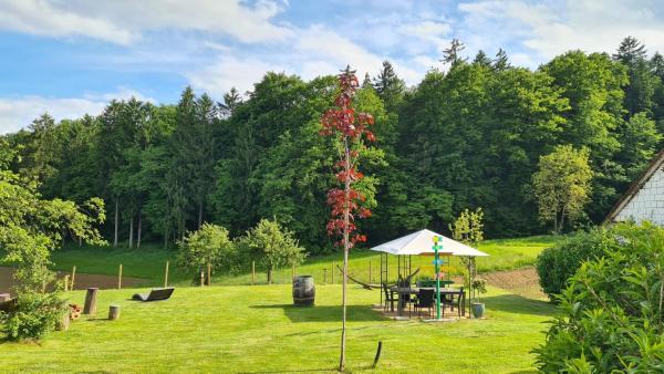 HOF-AREAL Südsteiermark Dein Ort für Poltergruppen & Hochzeiten, Rezervasyon Çiftlik Konaklaması Southern Styria Havuzlu Oteller, Yüzme Havuzu
