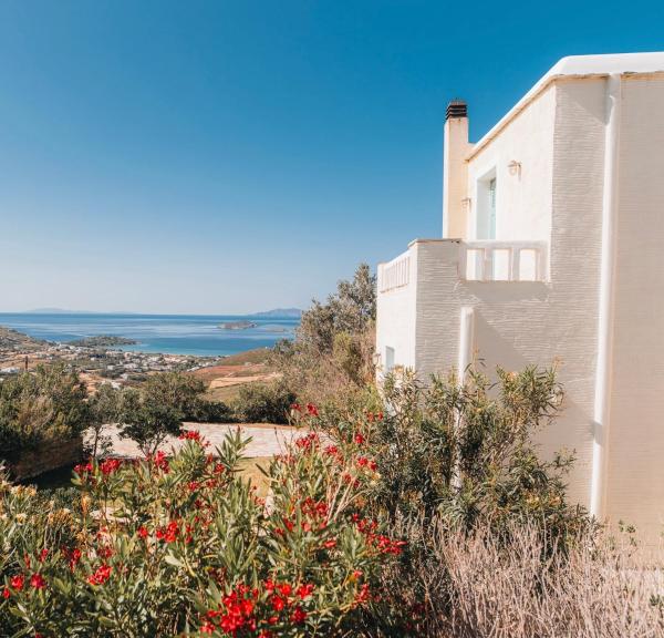 Villa Il Paradiso Andros, Rezervasyon  Gavrio Andros Island