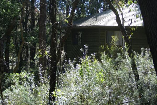 Twin Falls Bush Cottages, Rezervasyon Misafirhane Kangaroo Valley South Coast