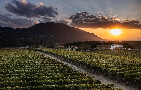 Giardino Delle Oche - Ocone Taburno Wine County, Rezervasyon  Ponte Campania