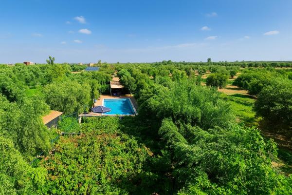 Eco Farm Tayssir Marrakech, Rezervasyon  Azrou Melloul 