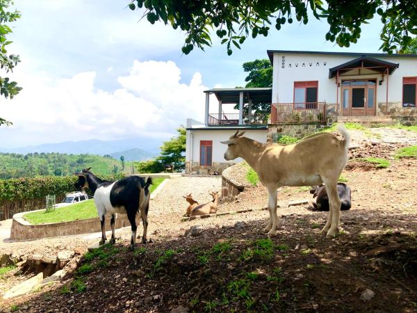 Amazi Land Home and Farm Stay, Rezervasyon  Kibuye Gitsi