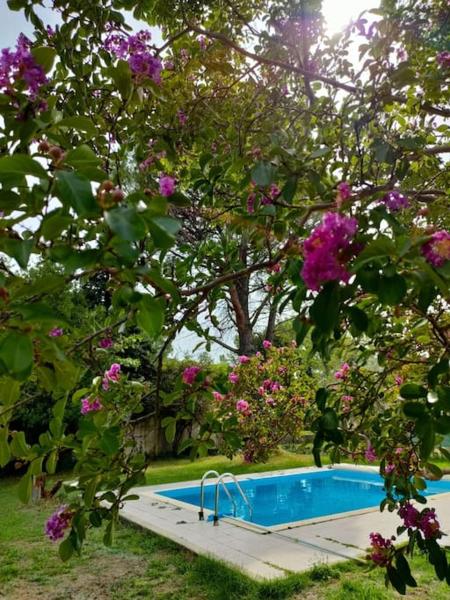 Villa indépendante avec piscine au rdc, Rezervasyon  Nyons Havuzlu Oteller, Yüzme Havuzu