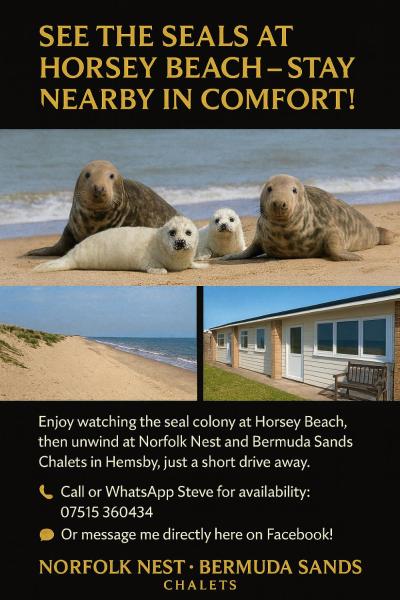 Norfolk Nest 2 bedroom chalet new media wall, Rezervasyon Şale Hemsby 