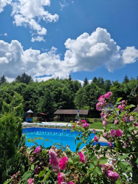 Pensiunea Andreea, Rezervasyon  Mărgineni Brasov