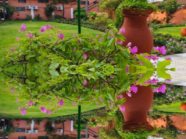 Gratitude Lodge, Rezervasyon  Cotonou 