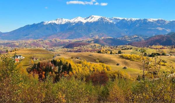 Glamping ZAZEN, Rezervasyon Kamp Alanı Prahova Valley kamp ve glamping, Kamp Alanı