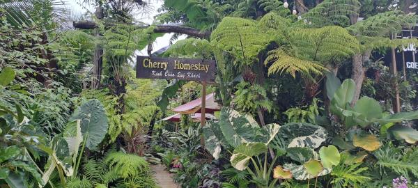 Cherry HomeStay & coffee, Rezervasyon  Dak Lak Havuzlu Oteller, Yüzme Havuzu