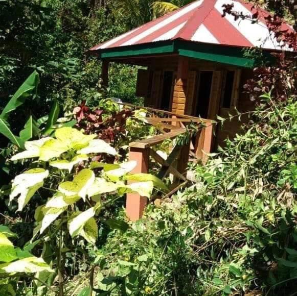 Berkey's Jungle Paradise Resort, Rezervasyon  Roseau Dominika