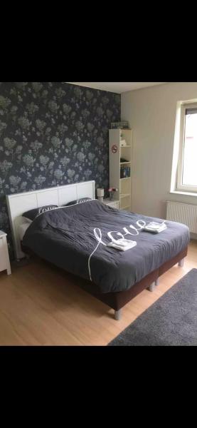 De Groene Oase, Rezervasyon  Harkstede Groningen