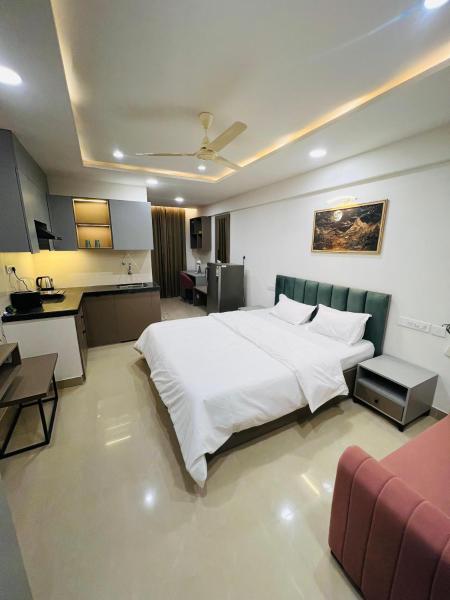 The Sleepy Monkey, Rezervasyon  Jaipur Jaipur Region