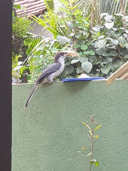 Village home, Rezervasyon  Ambepussa Gampaha District