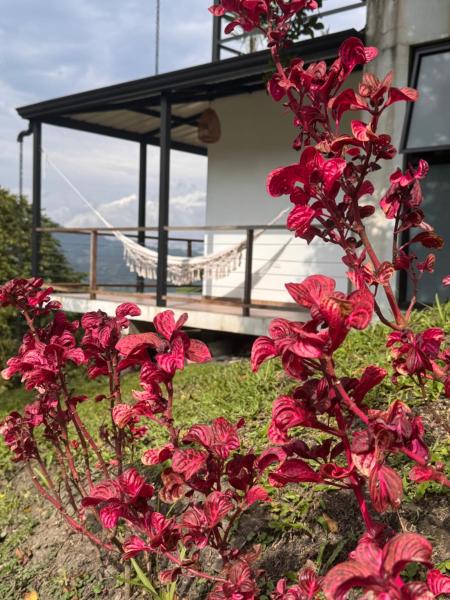 Cabañas Alondra - Hotel Boutique, Rezervasyon  Vergara Havuzlu Oteller, Yüzme Havuzu