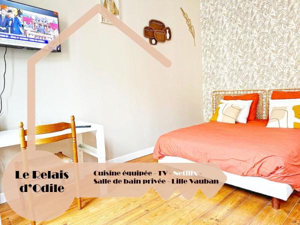 LeRelaisdOdile - Apparts Conforts - LILLE, Rezervasyon  Lille Picardy