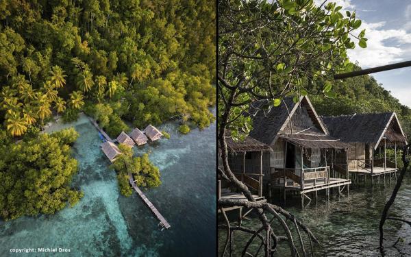 Nyandesner, Rezervasyon  Pulau Mansuar 