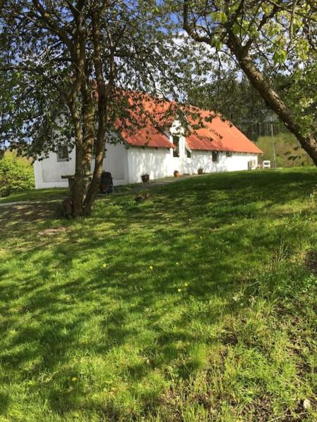 Vacation home on the Half island Helgenæs, Rezervasyon  Knebel Midtjylland