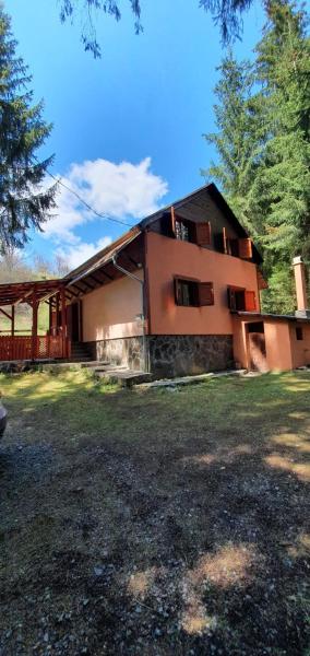 Riksberg Chalet in Harghita Mountains, Rezervasyon Şale Transylvania havuzlu oteller, Yüzme Havuzu
