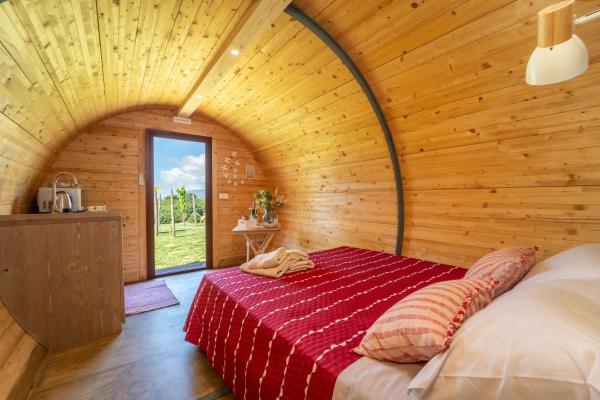 Dormire in una botte - Antiche Vigne Pironti, Rezervasyon  Marzi Kalabriya