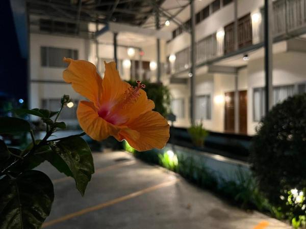 3B Boutique Hotel & Restaurant, Rezervasyon  Chiang Mai Chiang Mai Province