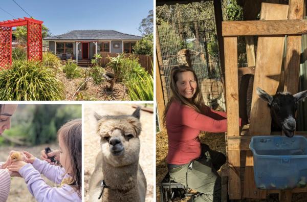 Blue Mountains Urban Farm Stay near Sydney, Rezervasyon  Hazelbrook New South Wales