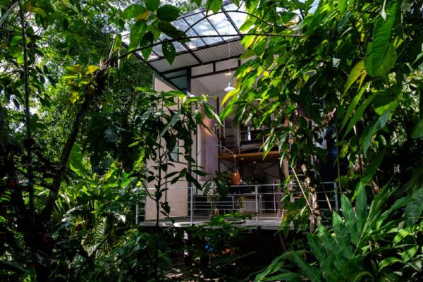 Perezoso Villa. Jurassic Park loft in the jungle, Rezervasyon  Puerto Viejo Limon