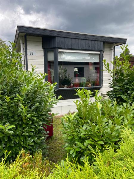 Tiny Chalet Sole in Putten, Rezervasyon Şale Putten Havuzlu Oteller, Yüzme Havuzu