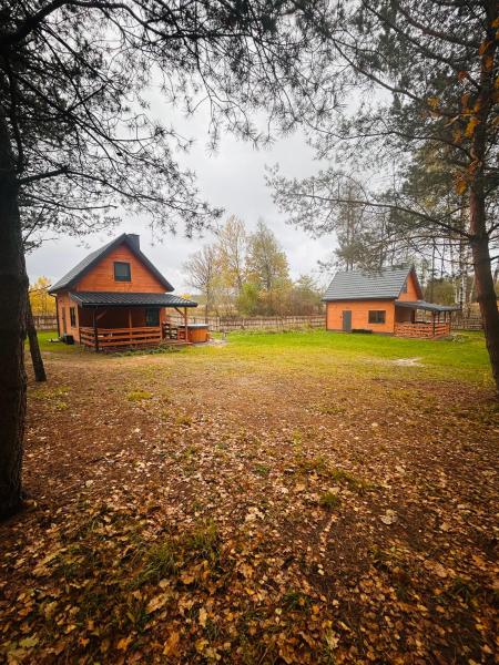 Bolek i Lolek domki do wynajęcia, Rezervasyon  Popielżyn Dolny 
