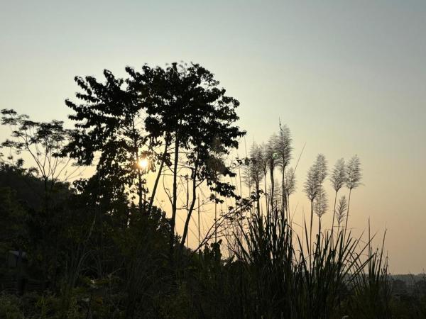 Teplong - The Paix, Kaziranga, Rezervasyon  Kaolākhāt Assam