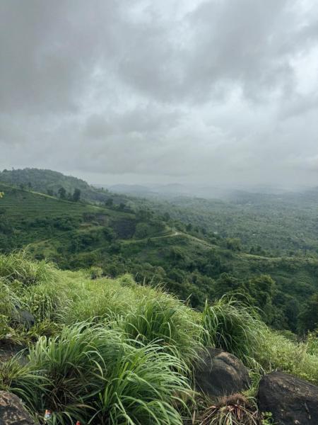 Banasura Wayanad, Rezervasyon  Meenangadi Wayanad