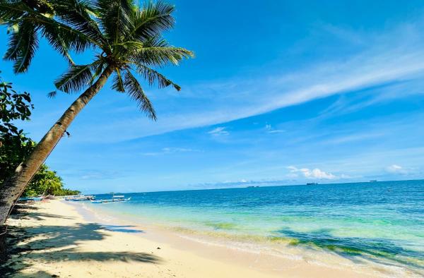 Aulea Siargao, Rezervasyon  General Luna Siargao Island