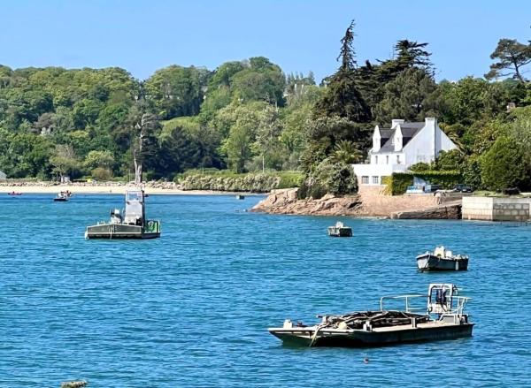BB les pieds dans L\eau CARANTEC, Rezervasyon  Carantec Finistère