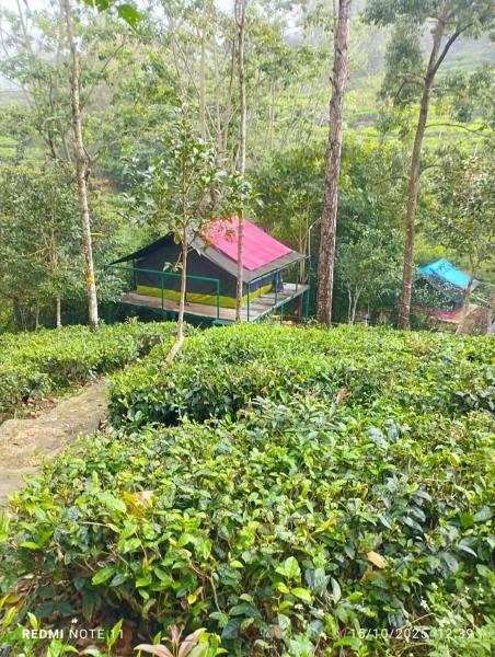Organic Farmers Tent & Trekking, Rezervasyon  Yedapalli Tamil Nadu