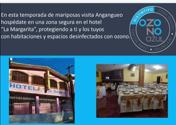 Hotel La Margarita, Rezervasyon Otel Michoacan kahvaltılı oteller, Kahvaltı