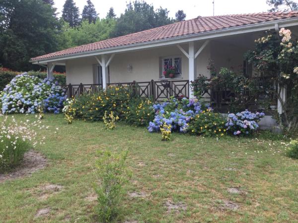 Villa avec grand jardin pour 6 personnes proche lac et océan, Rezervasyon  Magescq Landes