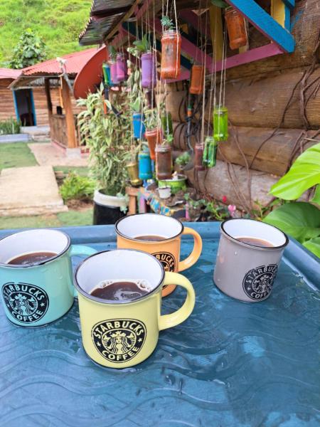 Rocas del Rio Ecohotel, Rezervasyon  Mutatá Antioquia