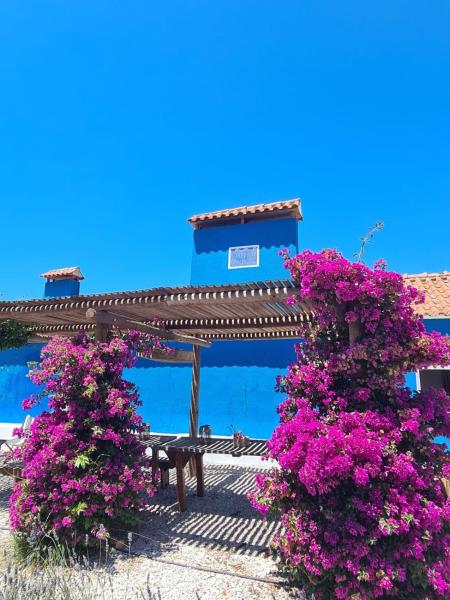 CasAzul Slow Stay in Nature, Rezervasyon  Bicas Centro Region