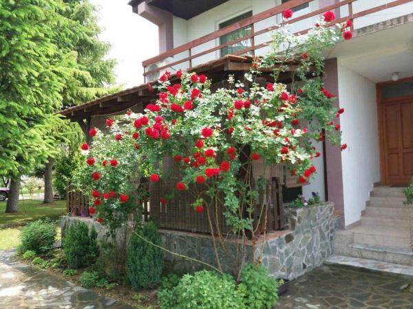 Riverside Villa Matka, Rezervasyon Villa Üsküp Havuzlu Oteller, Yüzme Havuzu