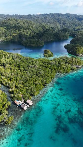 Sunrice Raja Ampat, Rezervasyon  Besir 