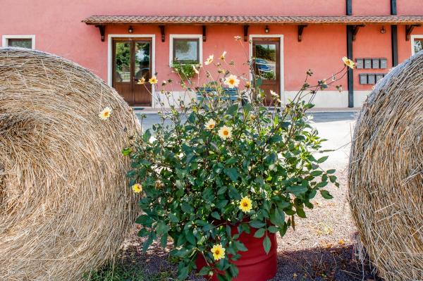 Agriturismo La Meridiana, Rezervasyon  Guidonia 